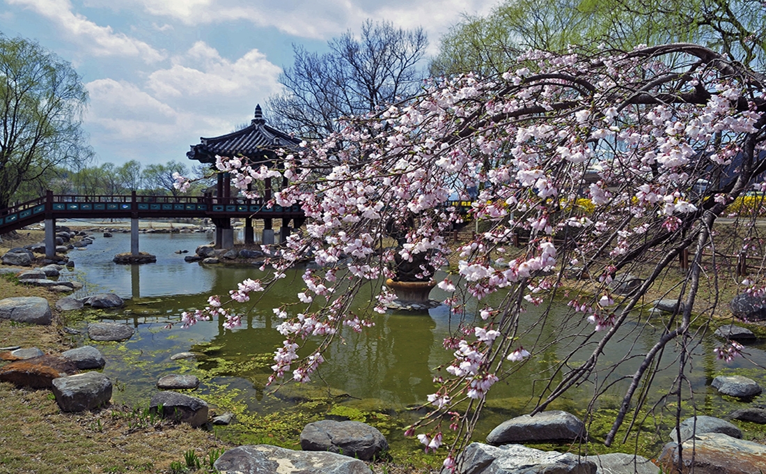 천안삼거리